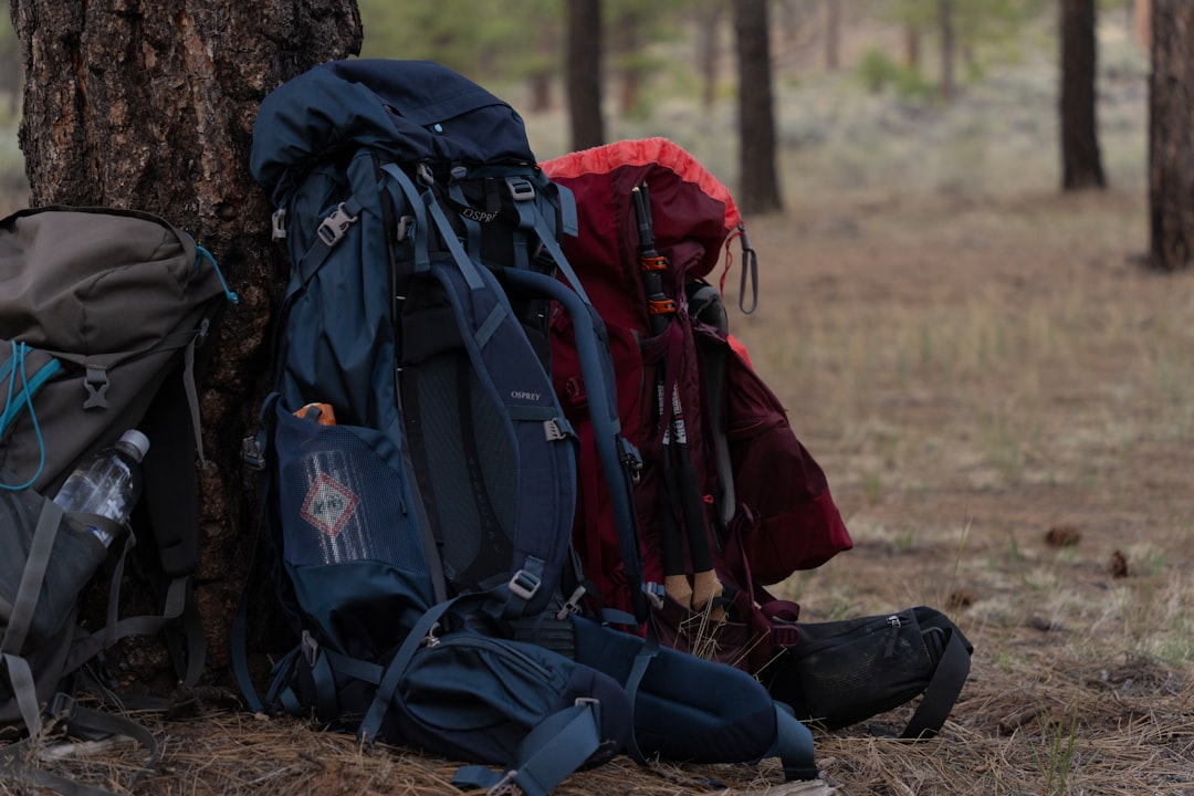 Learn Online Camping Skills: Simple Techniques for Beginners