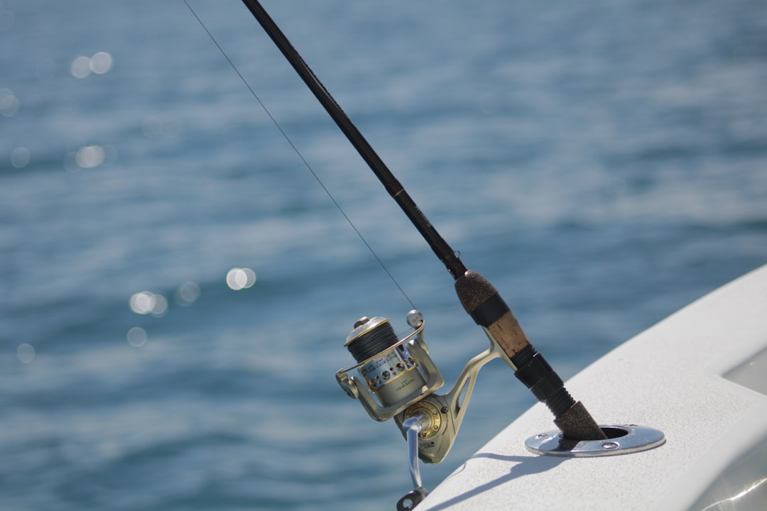 Master Online Fishing Techniques: Learn, Cast, and Catch Skills
