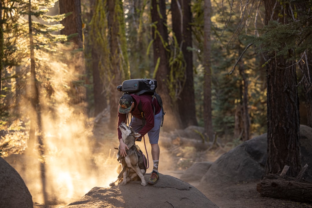 Learn Essential Online Trail Skills: Techniques for Hikers