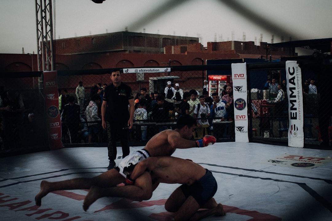 Master Online Fighting: Train From Home Effectively