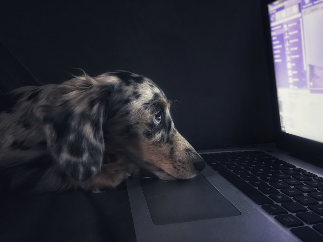 Learn How to Care for Pets Online: Essential Tips