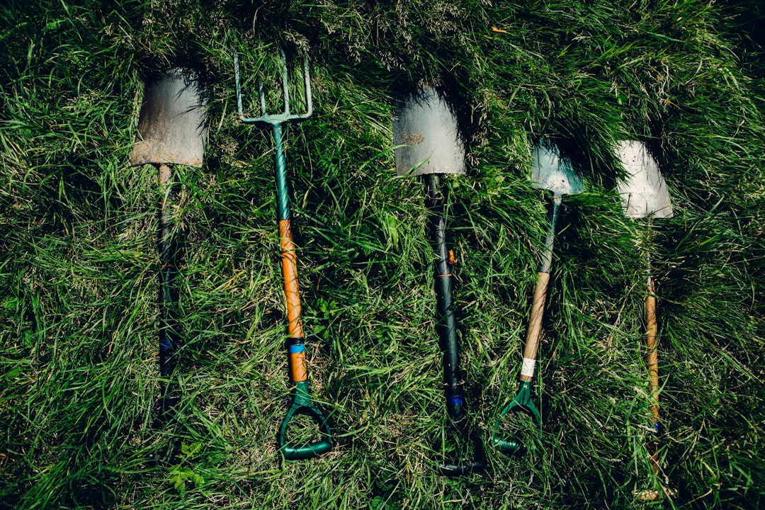 Learn Gardening Online: Practical Skills for Every Beginner