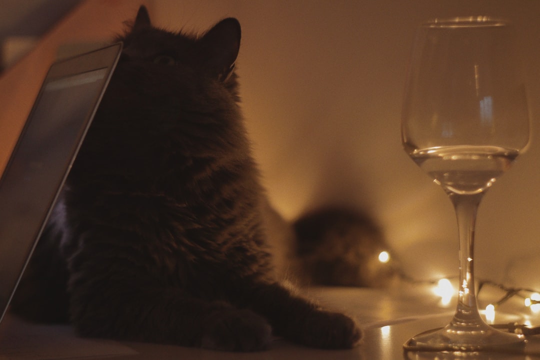Learn Everything About Wines Online: Complete Guide
