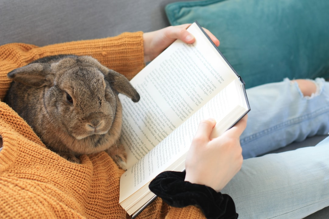 Learn Everything About Rabbits: Complete Online Guide